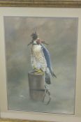 Andrew Ellis, born 1971, Peregrine Falcon, hooded and tethered with jesses to a perching post,