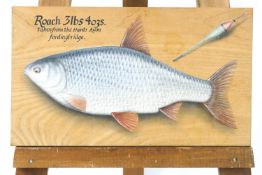 John Searl,Roach 3lbs 4oz taken from the Hants Avon Fordingbridge,oil on panel,