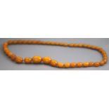 A single strand of butterscotch graduated beads. Strung knotted, omitting clasp.