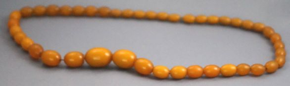 A single strand of butterscotch graduated beads. Strung knotted, omitting clasp.