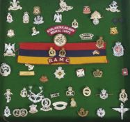 A framed collection of military badges, to include : 'Royal Hampshire', 'Royal Corps of Transport',