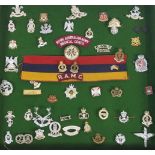 A framed collection of military badges, to include : 'Royal Hampshire', 'Royal Corps of Transport',