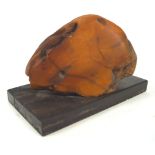 A specimen amber boulder, of natural form with polished panel,