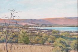 Dyson, Extensive landscape, possibly New Zealand, oil on panel, signed lower right,