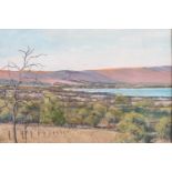 Dyson, Extensive landscape, possibly New Zealand, oil on panel, signed lower right,