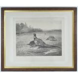 Thorburn, Pheasants, engraving, signed in pencil lower left,