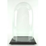 Taxidermy ; An oval section glass dome on a rectangular ebonised wood base,