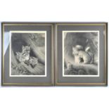 19th century, Squirrels and Foxes, a pair, lithographs,