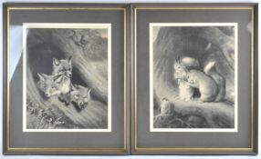 19th century, Squirrels and Foxes, a pair, lithographs,