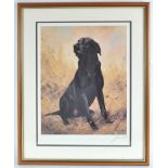 John Twickett, Black labrador, cooured print, signed in pencil lower right, numbered 798,