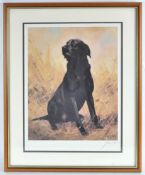 John Twickett, Black labrador, cooured print, signed in pencil lower right, numbered 798,