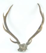 A pair of antlers, overall 63.