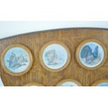 A set of twelve coloured prints of birds, framed as one, in an oak shaped frame,