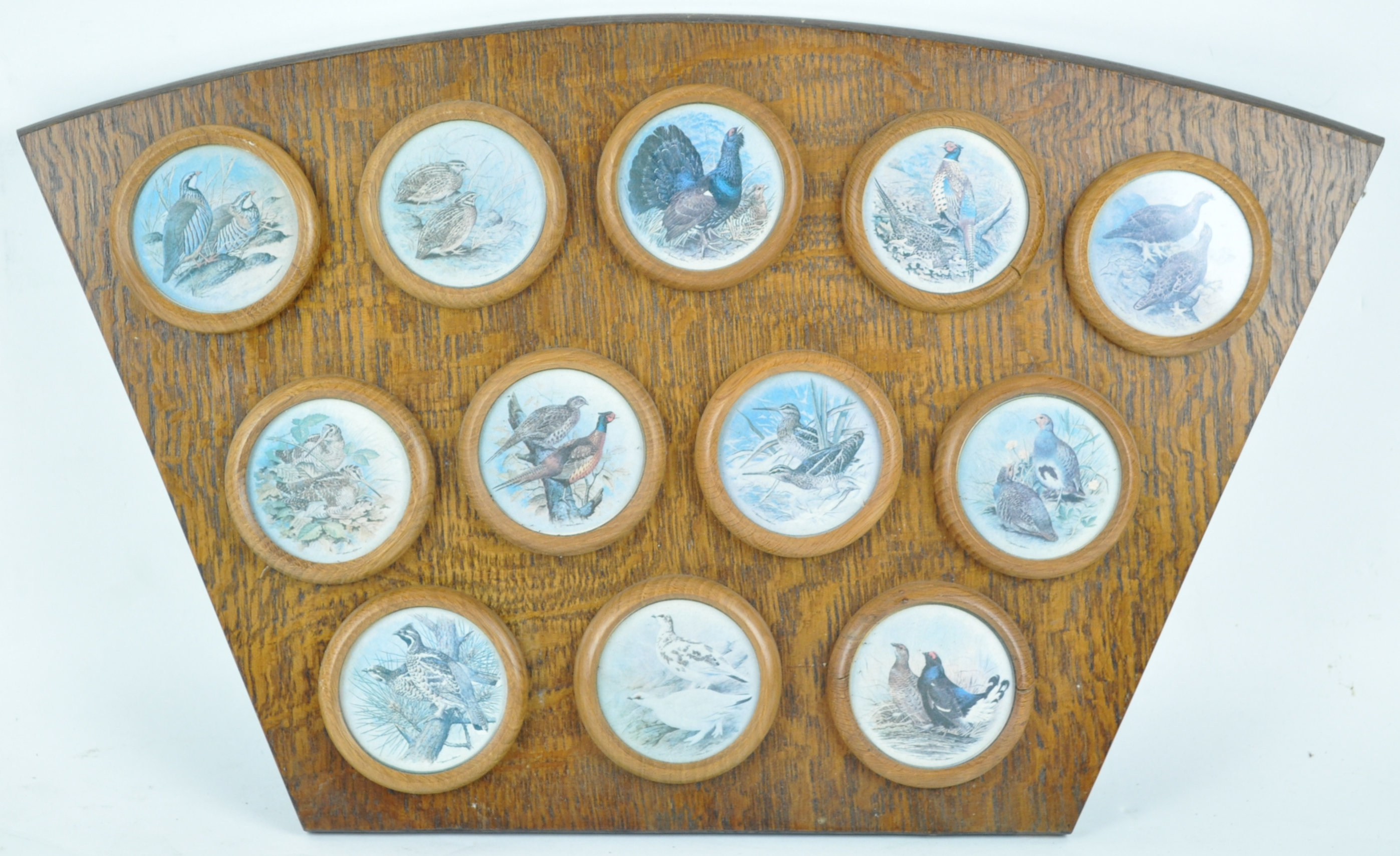A set of twelve coloured prints of birds, framed as one, in an oak shaped frame, - Image 3 of 4