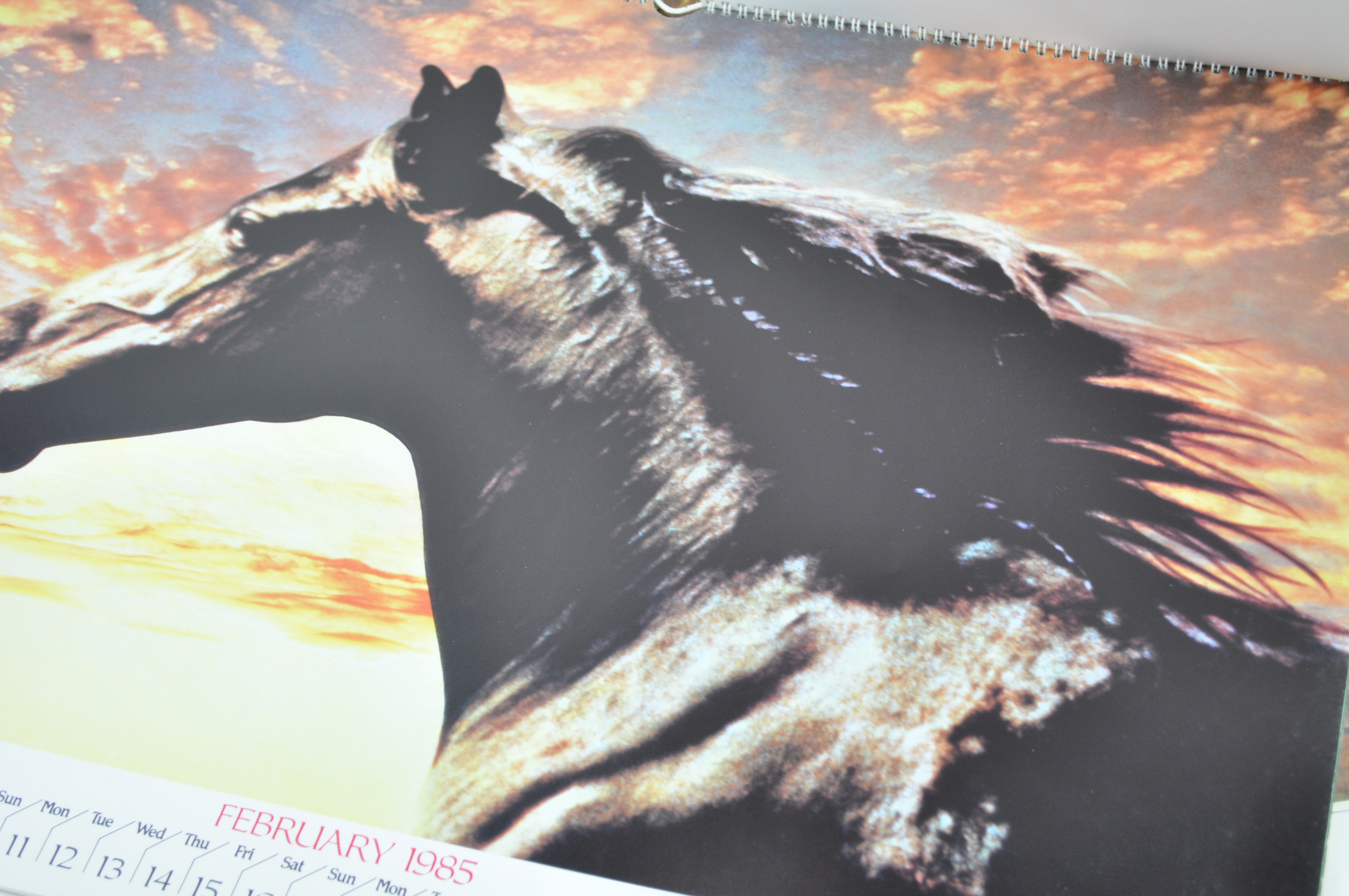 A group of six period Spillers horse calendars for 1985, 1986, 1989, 1990, - Image 2 of 4