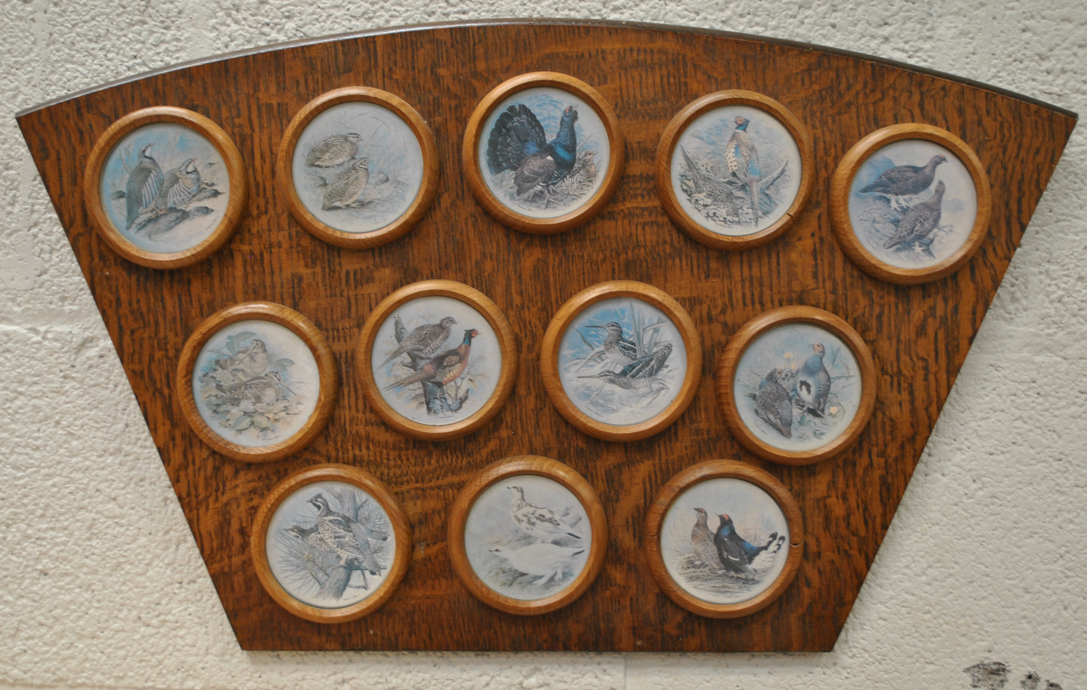 A set of twelve coloured prints of birds, framed as one, in an oak shaped frame, - Image 4 of 4