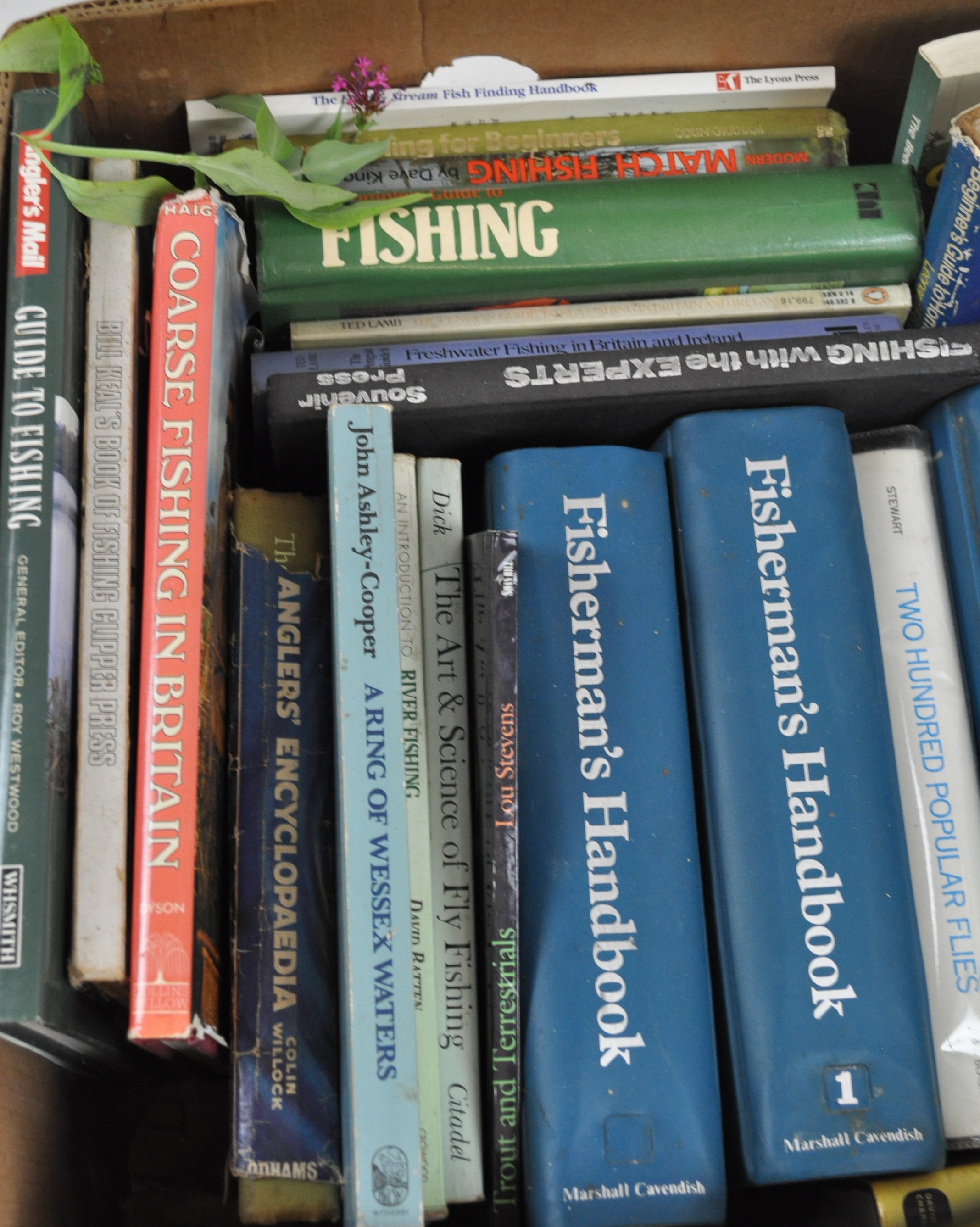 A box of fishing books, - Image 2 of 3