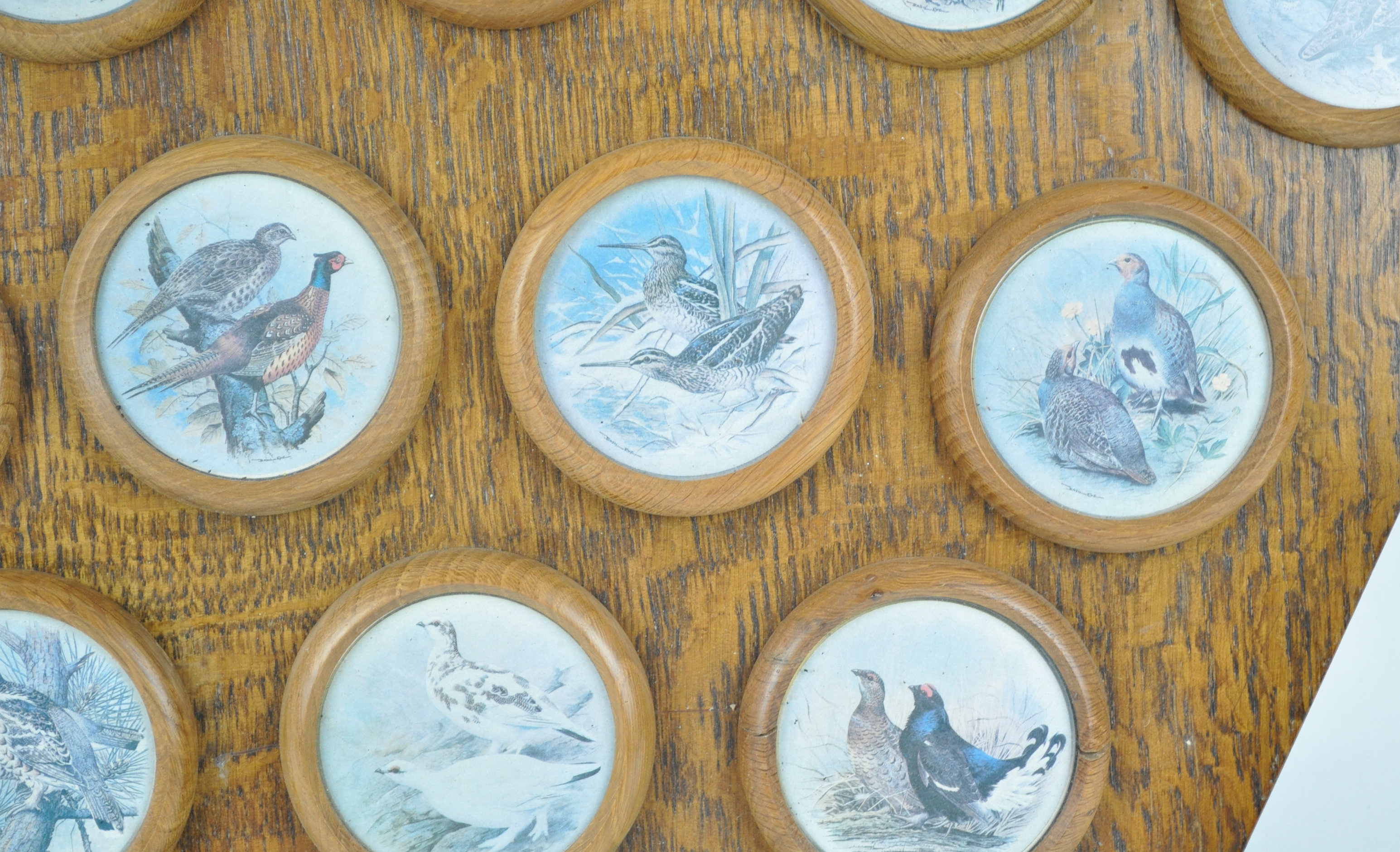 A set of twelve coloured prints of birds, framed as one, in an oak shaped frame, - Image 2 of 4