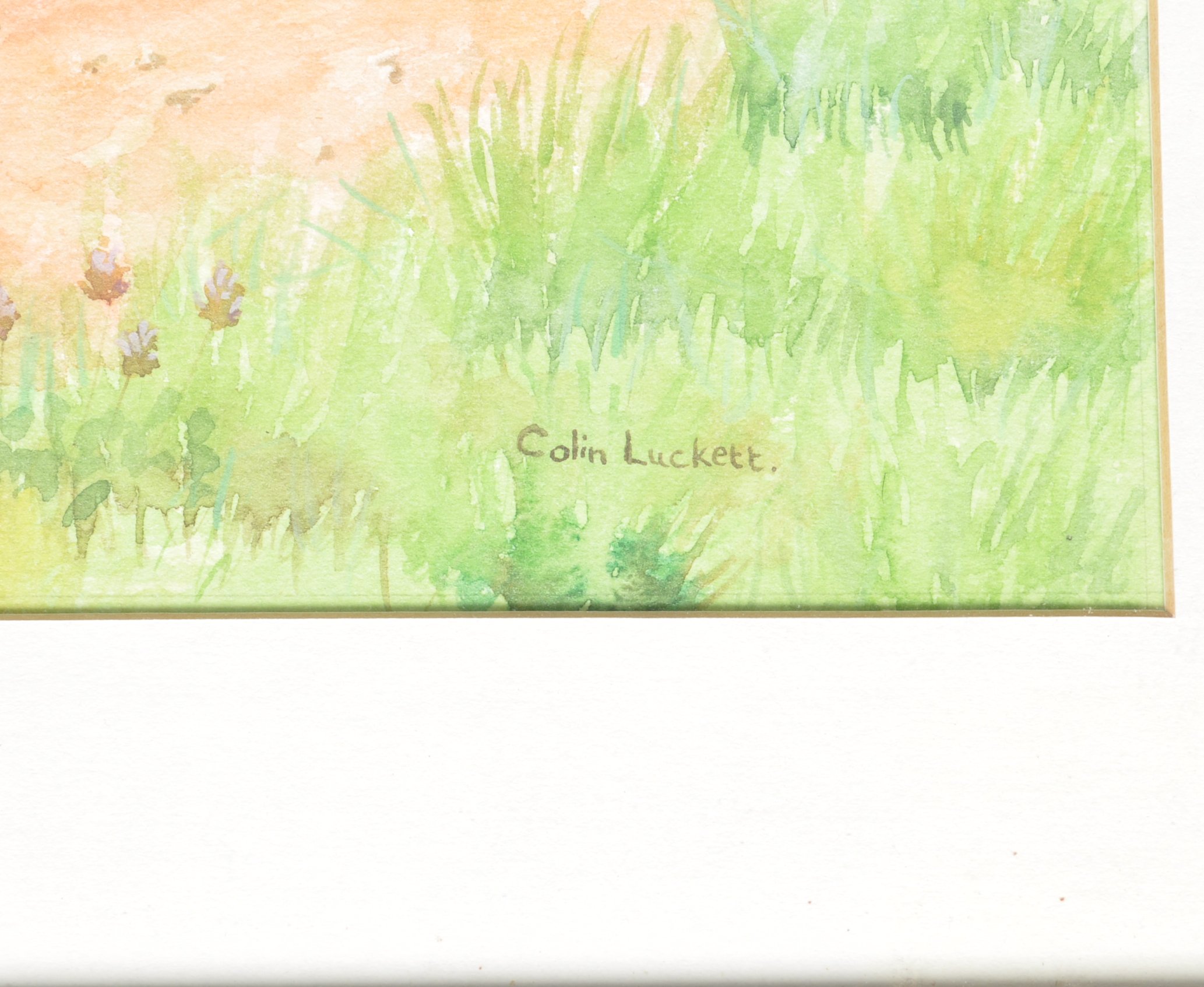 Colin Luckett, Contemplating on the riverside, watercolour, signed lower right, - Image 2 of 3