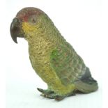 Attributed to Franz Bergman, a cold painted bronze parrot.