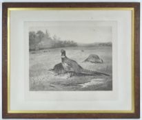 Thorburn, Pheasants, engraving, signed in pencil lower left,