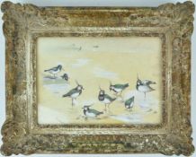 Lilian Medland, Lapwings, watercolour and body colour, signed lower left,