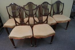 Six mahogany camel back chairs,