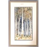 Diana Jarmarkier, Trees ,pen and ink and watercolour,