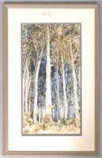 Diana Jarmarkier, Trees ,pen and ink and watercolour,