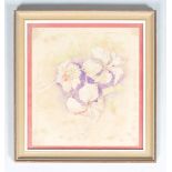 Julie Romeo (nee Buchanan), Three hibiscus flowers, coloured pencil, 34cm x 30cm,