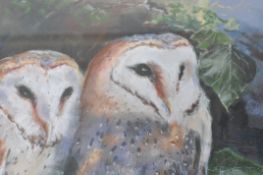 C M Stinchcombe, Barn owls, pastel, signed lower right,