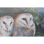 C M Stinchcombe, Barn owls, pastel, signed lower right,