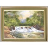 David James, oil on canvas, Weir on a river, signed bottom right, 59.5cm x 89.