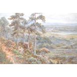 Walter Duncan,Ecxtensive lanscape view with tress in foneground,