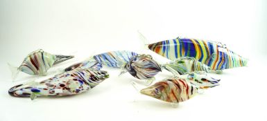 A group of 'End of the Day' glass fish