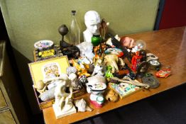 A phrenology bust and other items