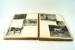 An early 20th century photograph album of the Hill family,