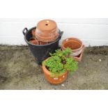 A quantity of terracotta plant pots