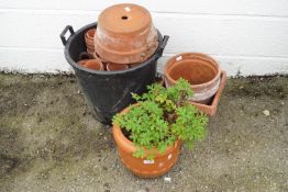 A quantity of terracotta plant pots