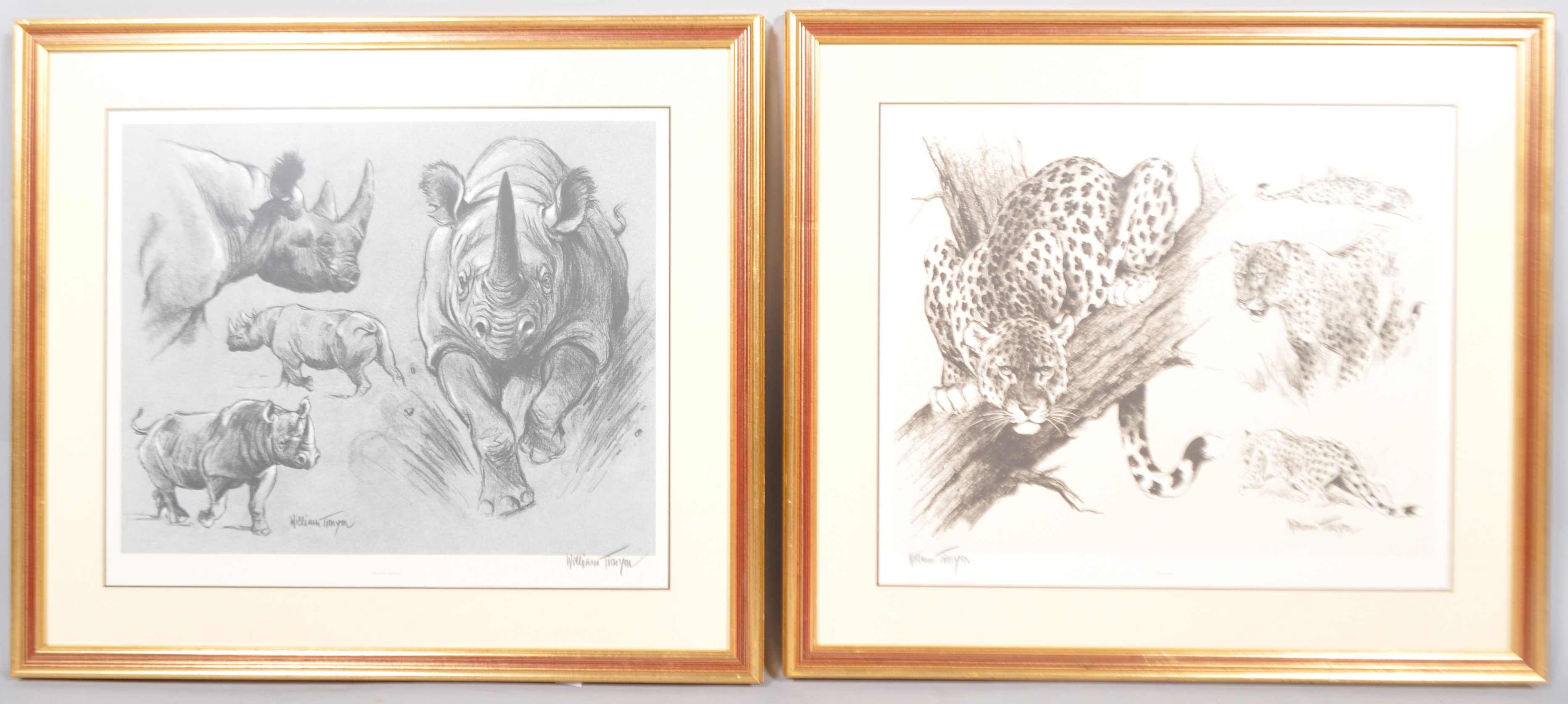 William Timym (1920 - 1990), Animal Studies, print of Leopards and Black Rhino, signed,