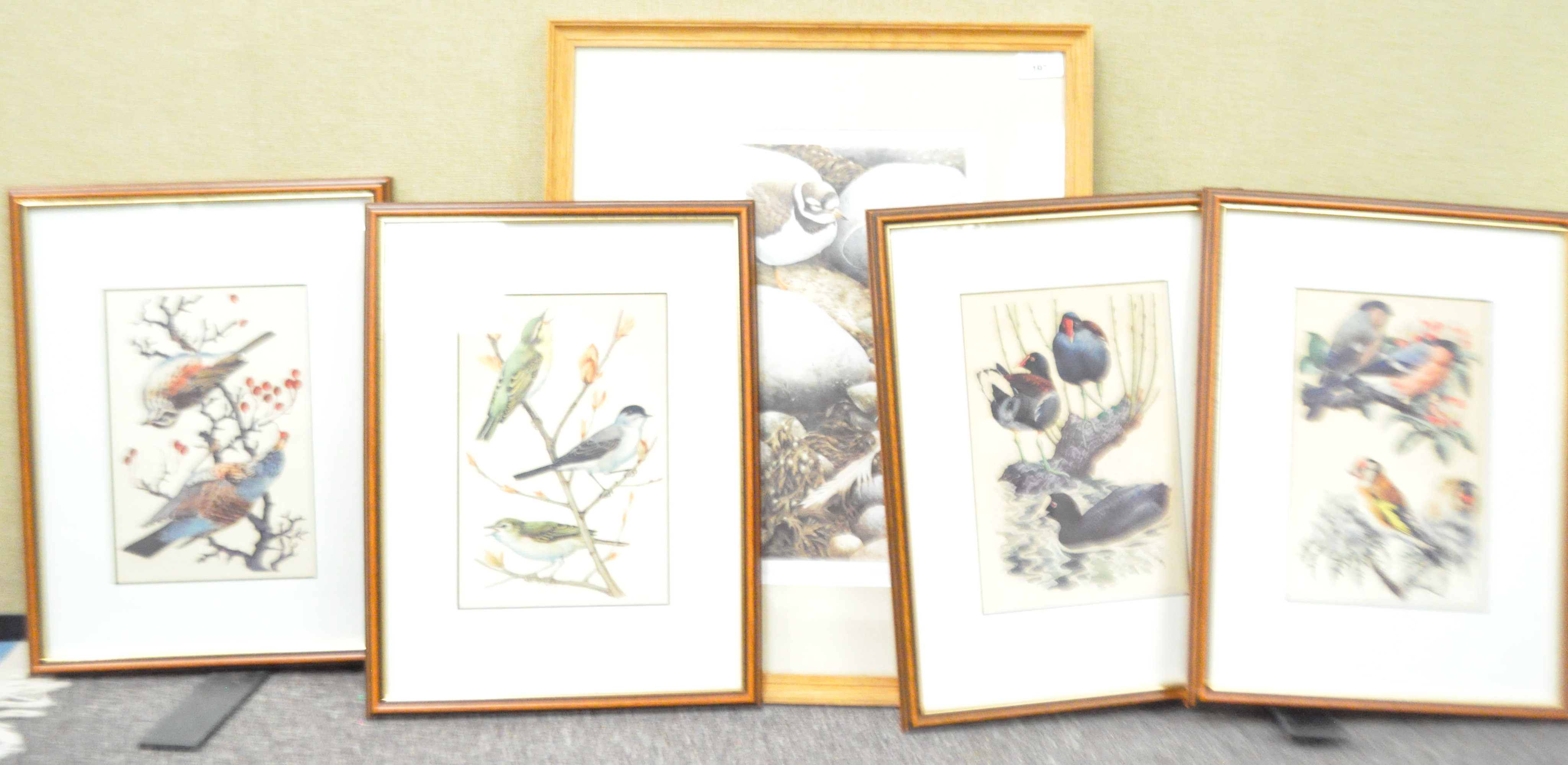 A set of four prints of birds and one other