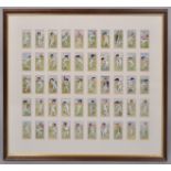 Fifty John Players "Cricketers" cigarette cards framed as one