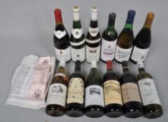 A mixed case of 12 bottles of wine including one bottle of Bourgoyne,