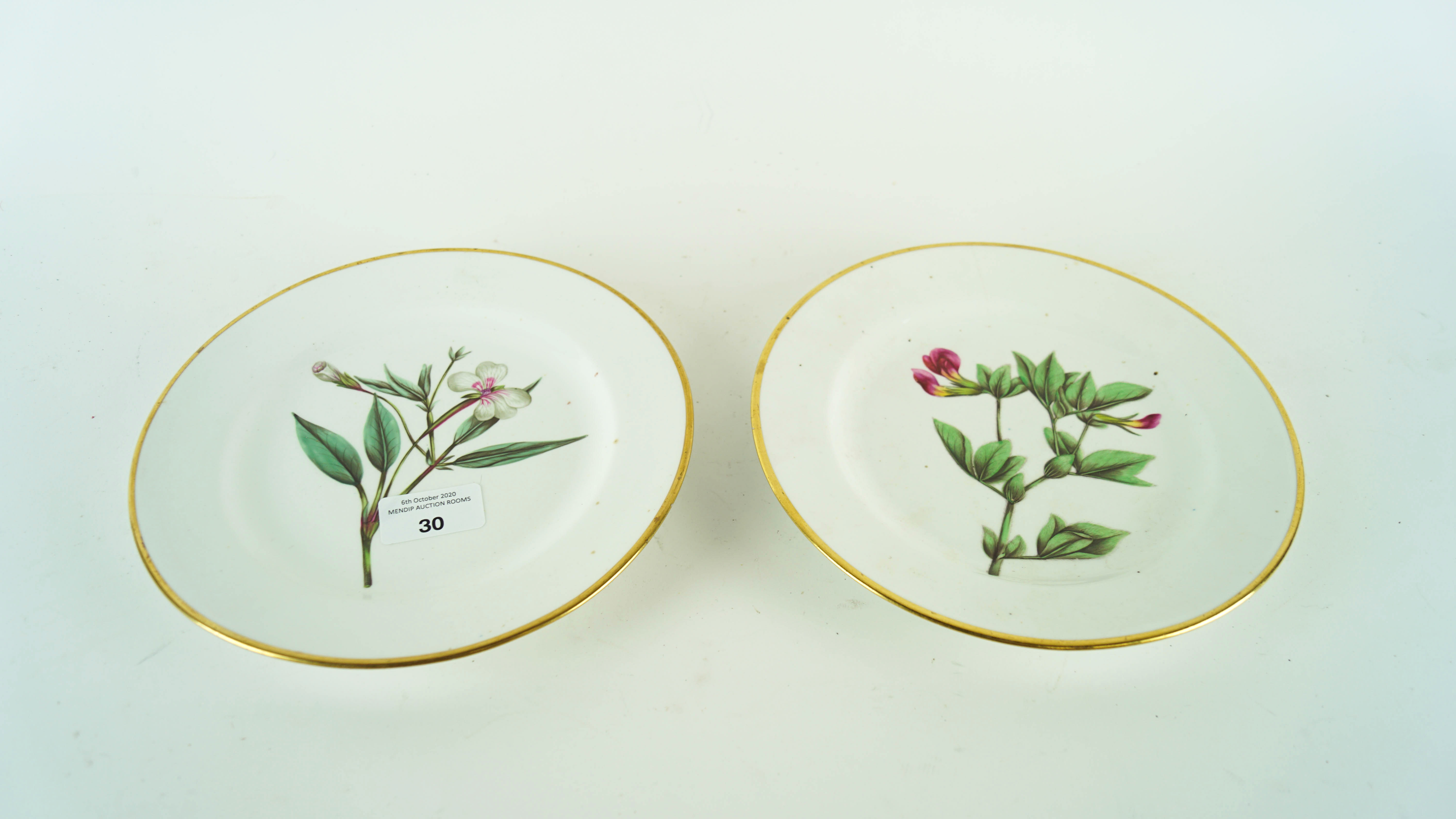 A pair of botanical plates