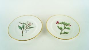 A pair of botanical plates