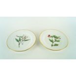 A pair of botanical plates