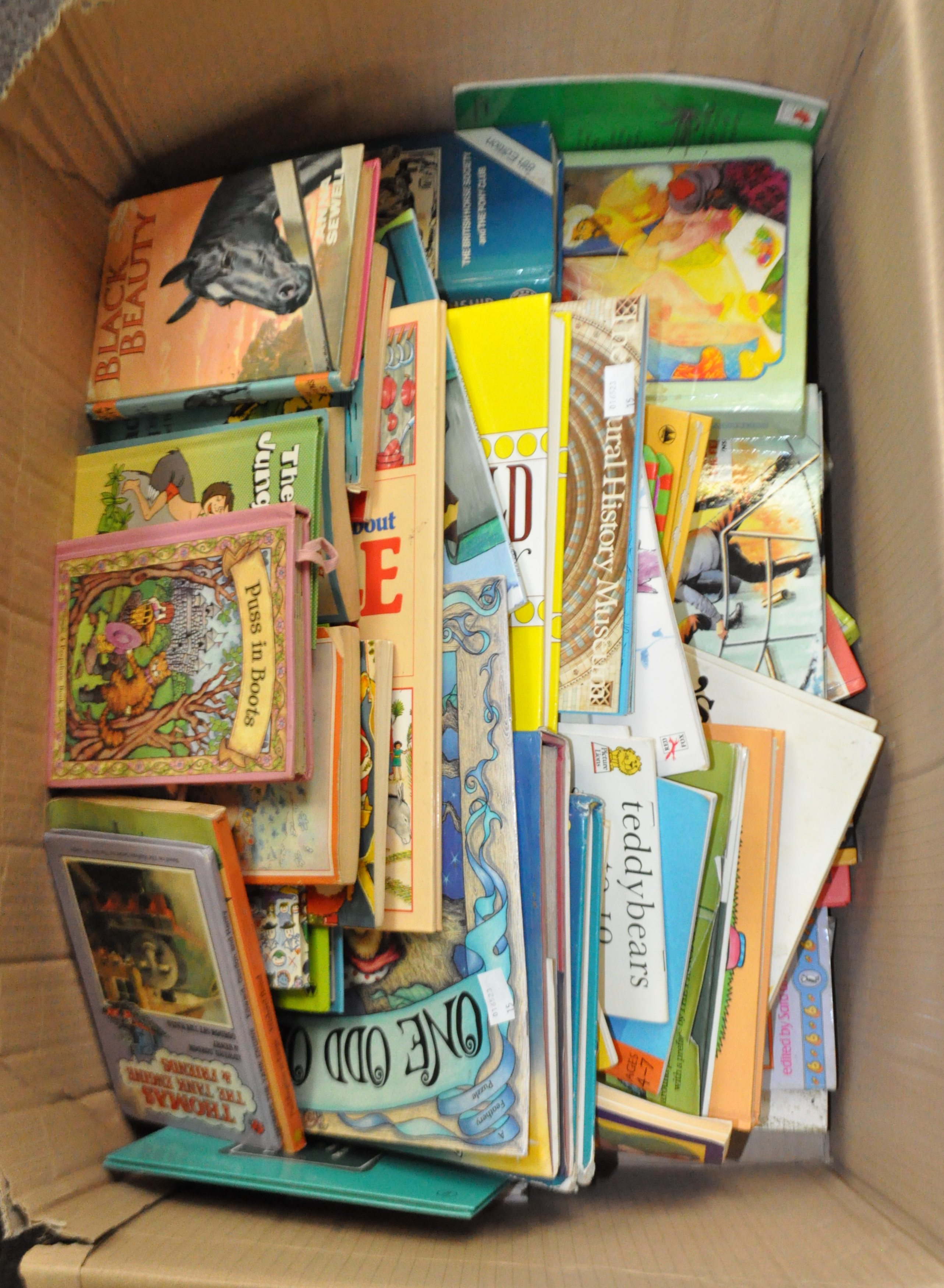 A large quantity of children's books