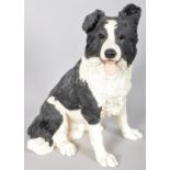 A fireside dogs resin figure of a Border Collie. Measures; 37cm high.
