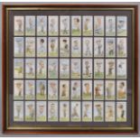 A framed collection of Churchman's cigarette cards depicting golfers