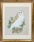 21st century, British school, watercolour/gouache painting of a Barn Owl, signed 'Res'86,